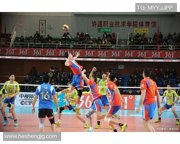 体育实时数据科学排球力量训练方法全面解析助力运动员提升竞技水平