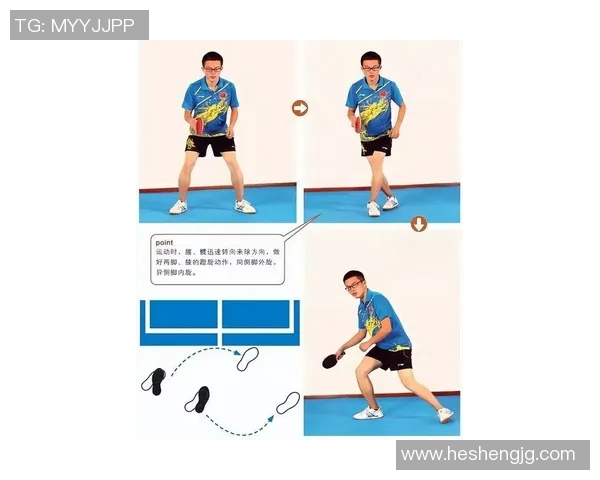 运动最新数据乒乓球新手必看攻略与入门技巧全面指南助你快速上手